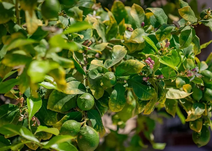 Anna-maria 3 Bedroom Paralimni